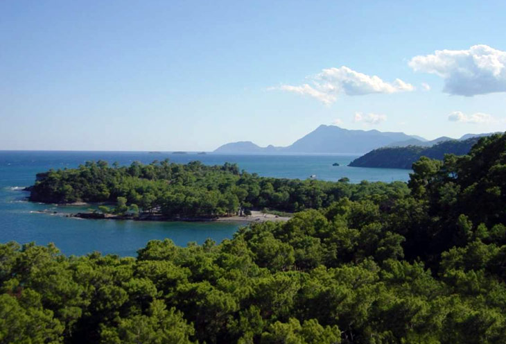 Чамьюва (Camyuva)