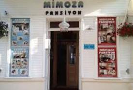 Mimoza Pansiyon - Antalya Трансфер из аэропорта