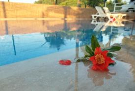 Gulce Family Apart Hotel - Antalya Трансфер из аэропорта