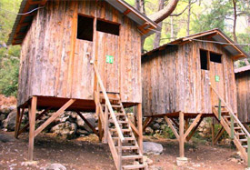 Saban Tree Houses - Antalya Трансфер из аэропорта