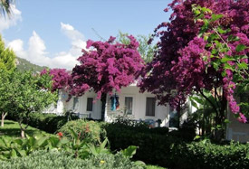 Blue White Hotel - Antalya Трансфер из аэропорта