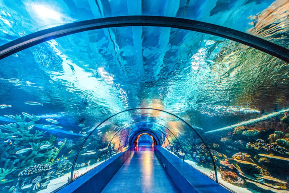 Antalya Aquarium Ganztagesausflug